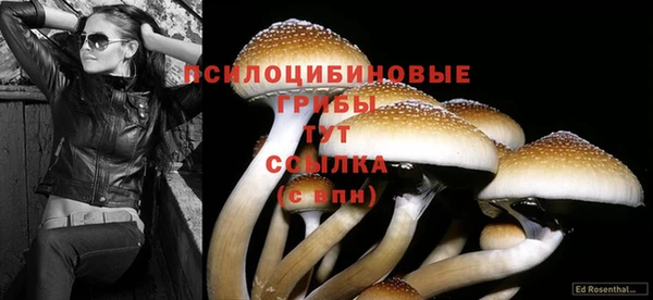 герыч Белокуриха
