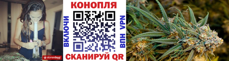 Бошки марихуана планчик  Курильск 